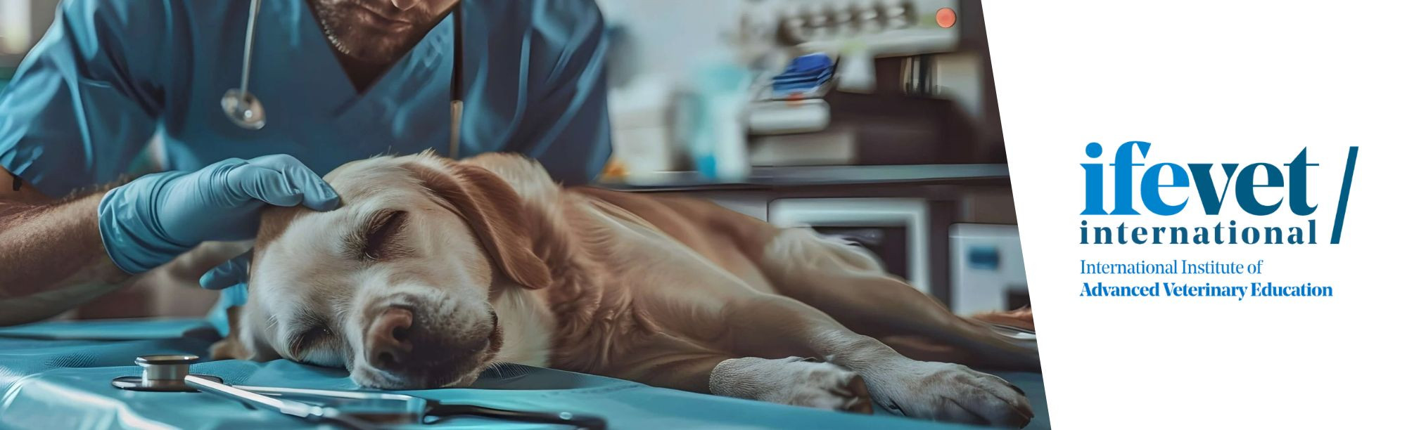 Course Image Postgraduate in Small Animal Emergency and Critical Care 2026