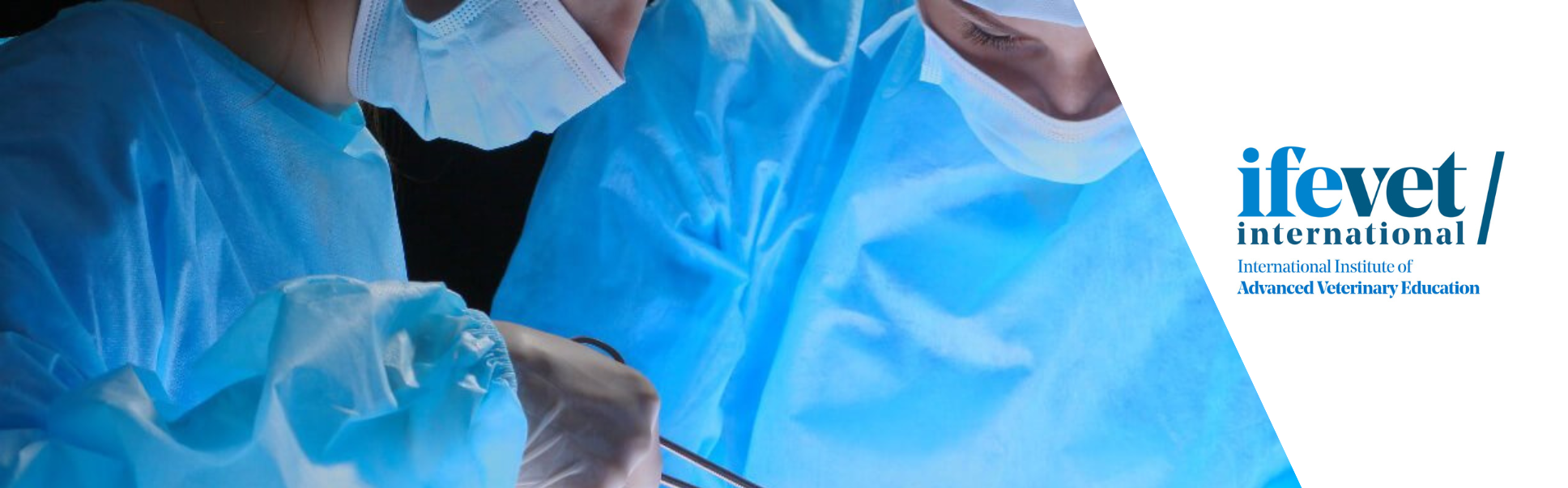 Course Image Postgraduate in Small Animal Soft Tissue Surgery 2025